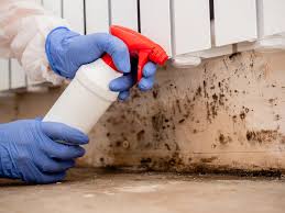 Best Residential Mold Inspection & Testing  in Ransomville, NY